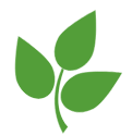 flower-logo-image
